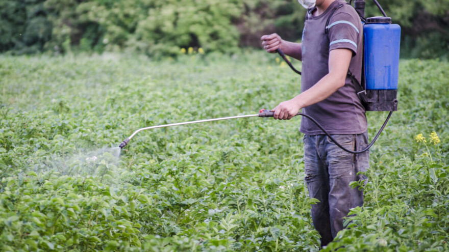 Neće više biti dozvoljena primena tiakloprida u EU