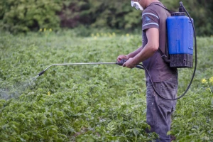 Kojim pripravcima zaštititi krompir i paradajz, a kojim jabuke i trešnje?