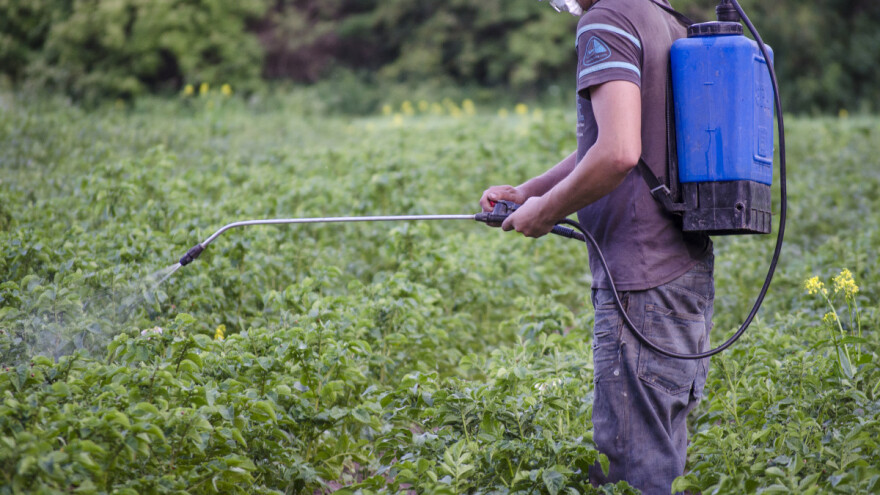 Kojim pripravcima zaštititi krompir i paradajz, a kojim jabuke i trešnje?