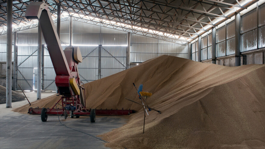 Vremenske nepogode utiču na prinos useva u Americi: Analitičari predviđaju manji izvoz