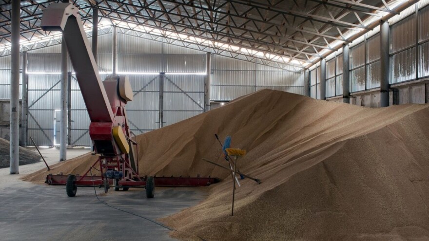 Vremenske nepogode utječu na prinos usjeva, analitičari predviđaju manji izvoz