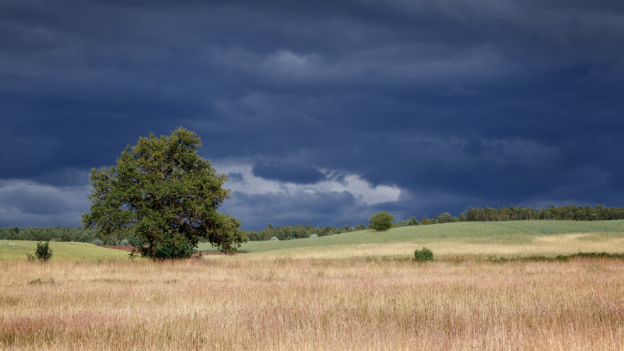 Koliko je kiša dobra za usjeve i kako unijeti atmosferski azot u tlo?