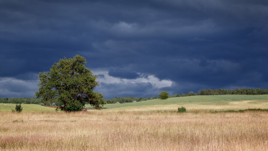 Koliko je kiša dobra za usev i kako se atmosferski azot unosi u zemljište?
