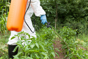 Sve je više krivotvorenih pesticida - šverceri ga prevoze kao deterdžent