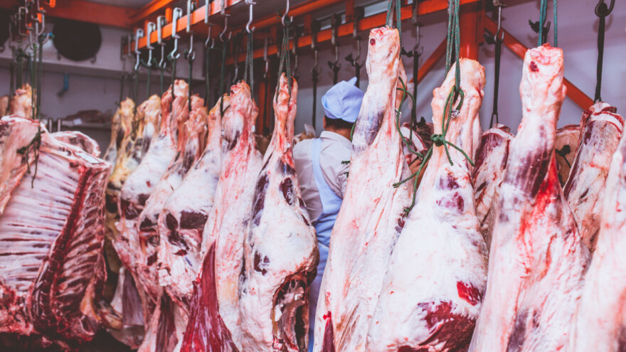 Svjetski kongres o mesu 2023. održat će se u Mastrichtu - što je tema?