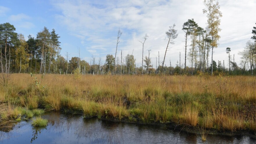 Suši se europsko zemljište: Umjesto da upija ugljični dioksid, oslobađat će ga?