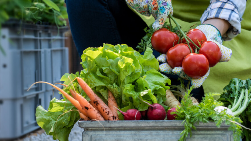 Francuska jedina primjenjuje strategiju "od farme do vilice" - farmeri zadovoljni
