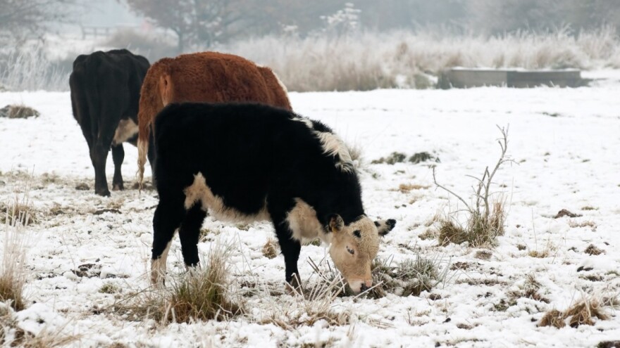 Objavljena sezonska prognoza - kakva će biti zima u BiH?