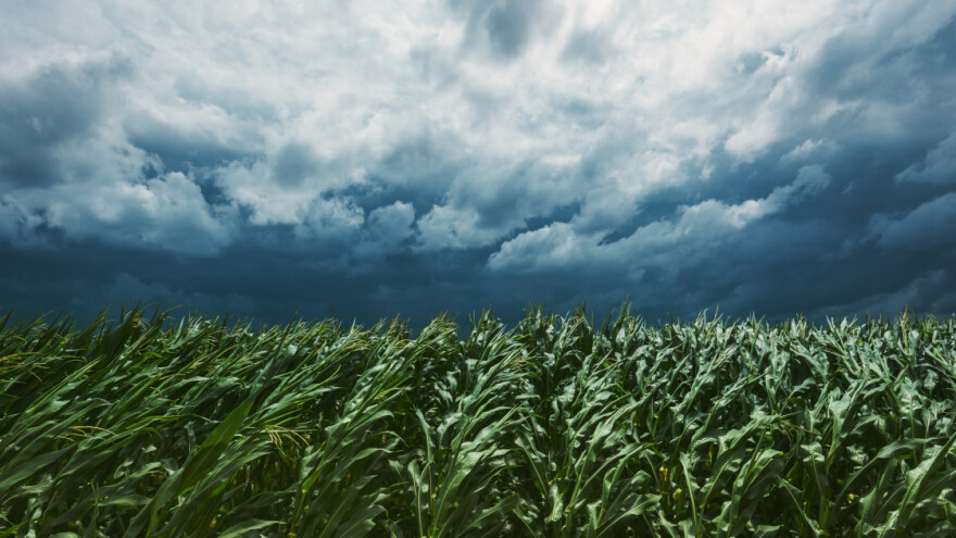 Žuti meteo alarm: Danas grmljavinska nevremena, a onda još jedan toplinski val