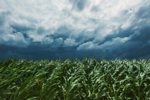 RHMZ izdao upozorenje zbog mogućeg grada i olujnih vetrova. Na istoku zemlje crveni meteo alarm