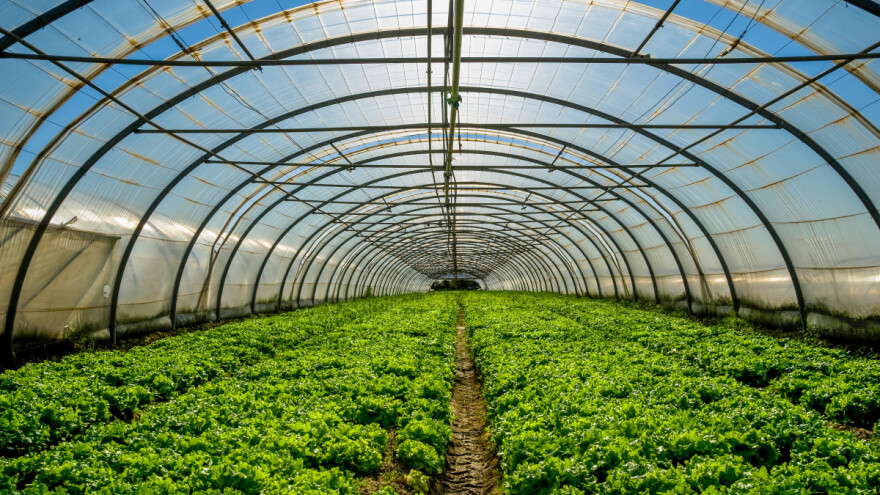 Zašto je tunel Hranjen šansa za poljoprivrednike jugoistočne BiH?