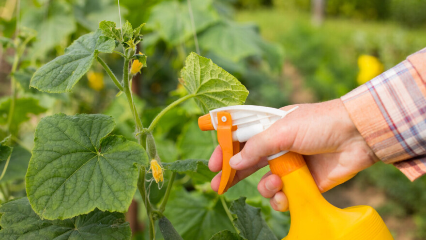 Ekološki pripravci za zaštitu bilja