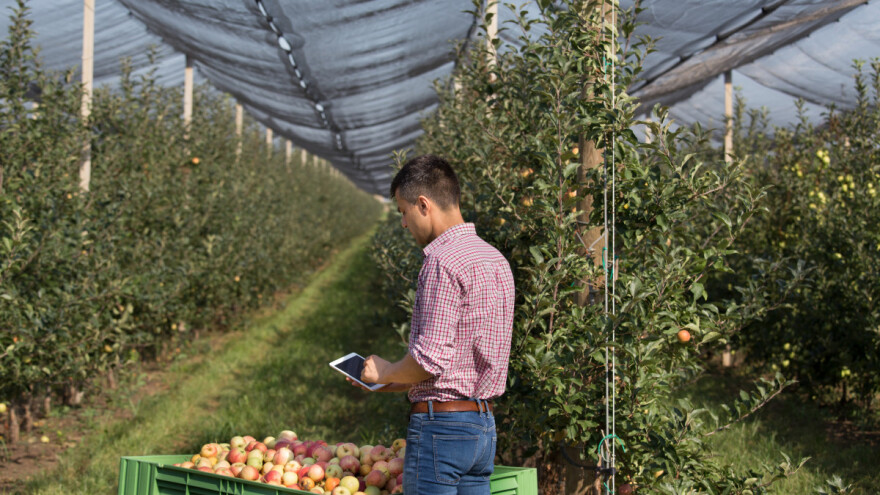 200 milijuna kuna za ulaganja u kapacitete za preradu i marketing poljoprivrednih proizvoda