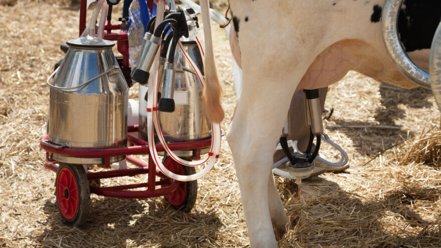 Bilježimo novi pad cijene mlijeka - TISUP objavio podatke