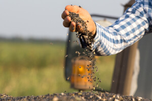 Vrhunac izvoza iz Ukrajine u EU, suspenzije na carine produžene, jednime nisu zadovoljni