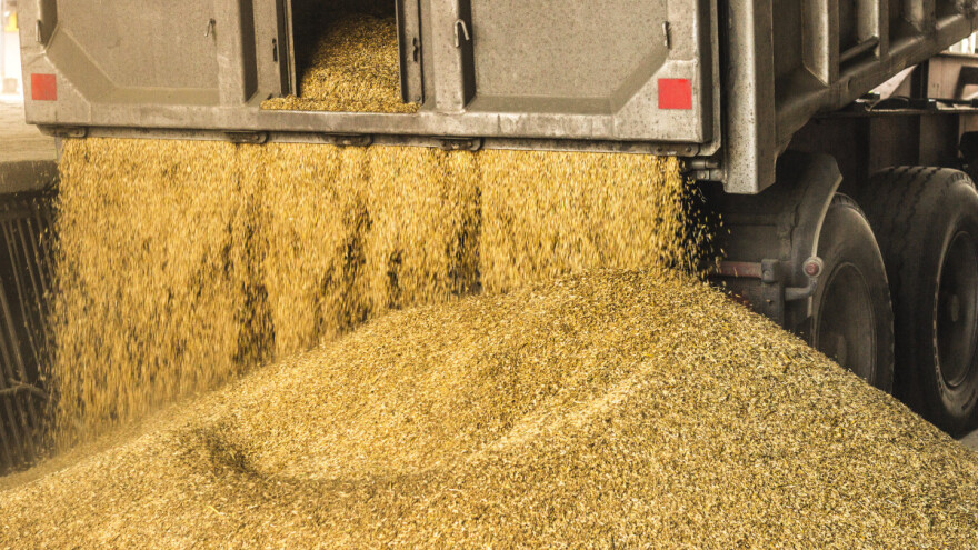 Blago rastu cijene dvije žitarice, a padaju za uljanu repicu