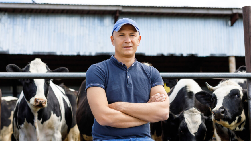 Poticaji? Nemoj vilama - pročitaj Nacrt programa i reagiraj!