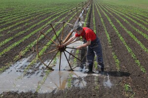 EU će do 2025. koristiti 6,6 mlrd metara kubnih reciklirane vode?