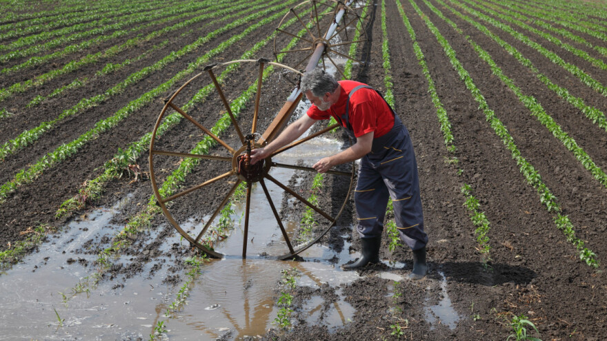 Otvoren natječaj: Za pokusna polja navodnjavanja više od 210.000 eura