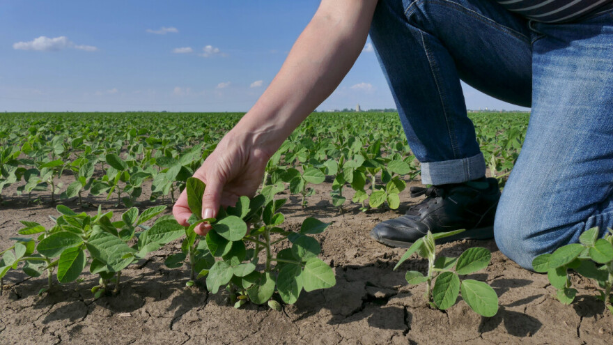 Uključite se u savjetovanje o intervenciji 75.01. Uspostava mladih poljoprivrednika