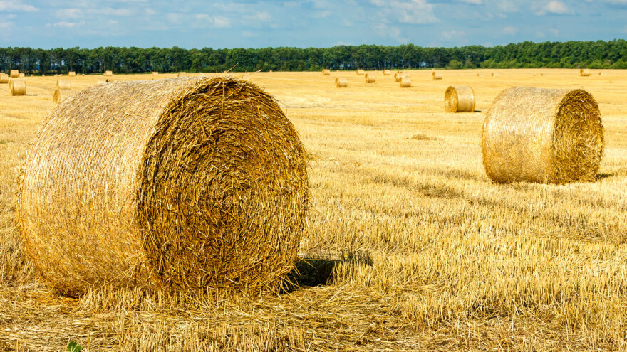 Slama u toaletnom papiru - reklamu poznatog brenda dočekali na nož