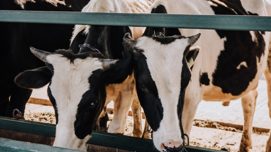 Okončana isplata poticaja u ZDK iz prošle godine: Koliko je ko sredstava dobio?