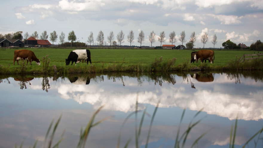 Odobreno: 121 milijun eura za projekte u području okoliša, prirode i klime