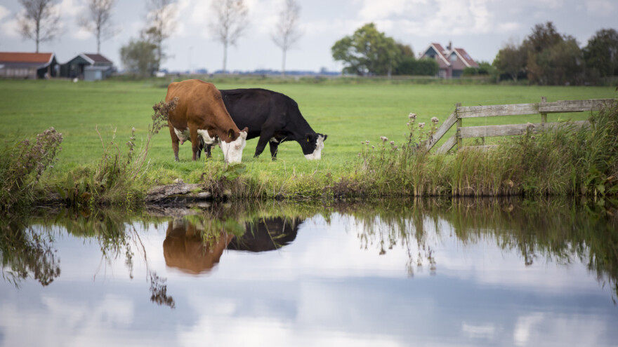 Poljoprivreda ima najveću potražnju za svjetskim slatkovodnim resursima