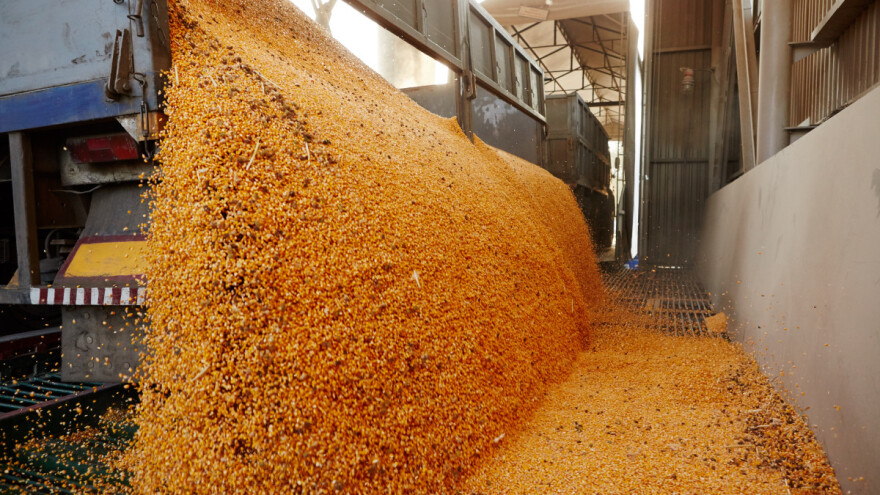 Objavljena četvrta prognoza za prinos žitarica i uljarica u Europi