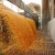 Klackalica s cijenama žitarica na svjetskim burzama