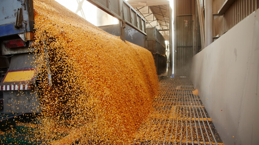 Turska postala najveća izvozna destinacija za rumunski kukuruz