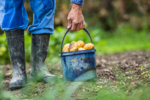 Kako i kome pokloniti svoj višak hrane i drugih potrepština?