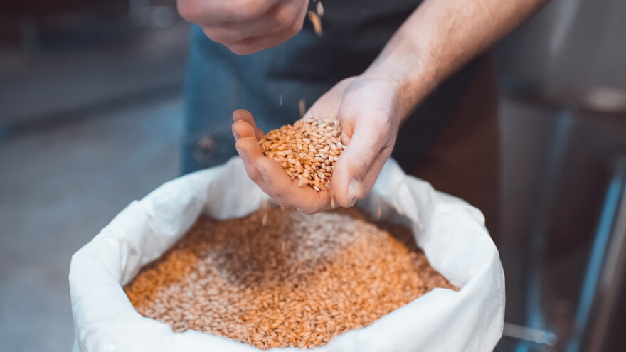 Unatoč velikom padu žitarica i uljarica, rasle proizvođačke cijene poljoprivrednih proizvoda