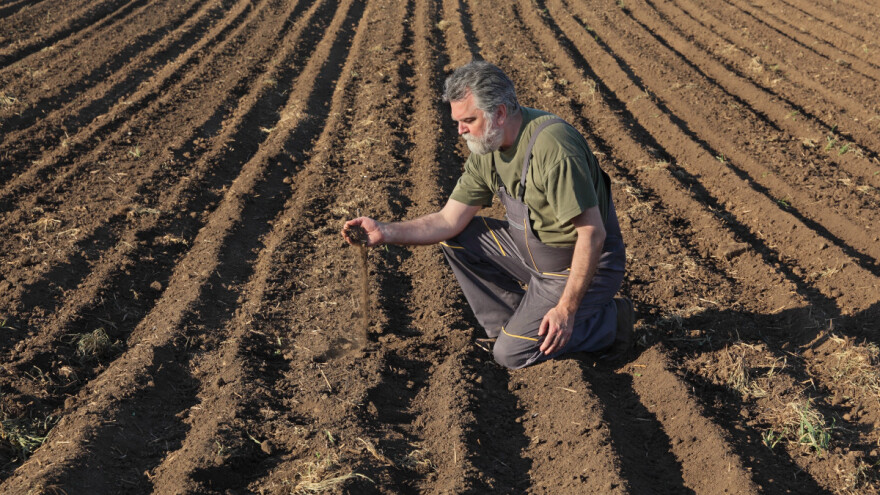 Koliko pesticidi i mineralna đubriva zagađuju zemljište?