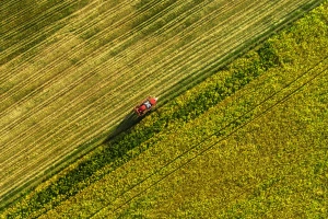 Pomaknuo kamen "međaš" - belgijski farmer izazvao međunarodni incident?