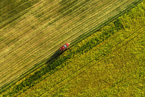 Pomaknuo kamen "međaš" - belgijski farmer izazvao međunarodni incident?