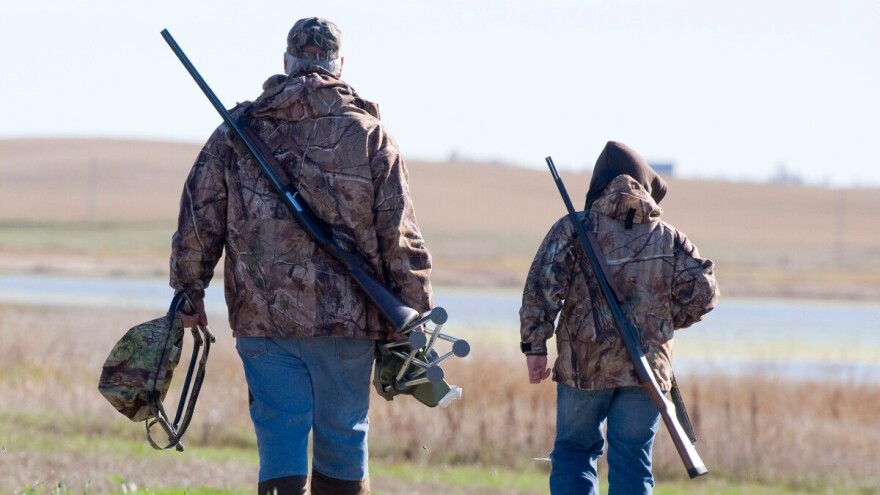 Šakali i lisice sve veći problem u Vršcu - u planu odstrel 500 životinja