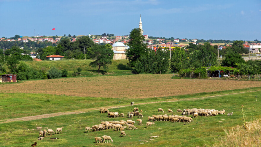 Dugotrajna suša u Turskoj smanjila poljoprivrednu proizvodnju