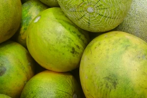 Limelon – nova sorta voća na europskom tržištu