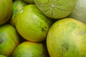 Limelon – nova sorta voća na europskom tržištu