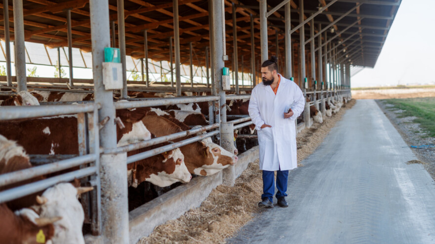 Za poticaje veterinarstvu 2,5 miliona KM - šta uključuje program?