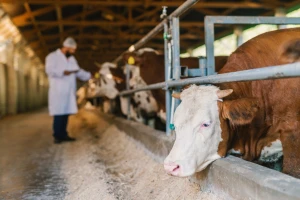 Otpornost na antibiotike globalna pretnja - kako ih smanjiti?