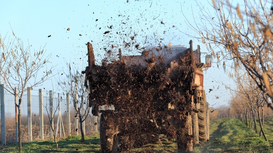 Značaj upotrebe stajnjaka u voćarstvu