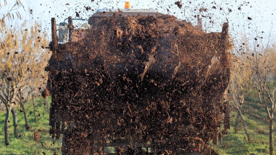 Pravilno primjenjen stajnjak ima veliki uticaj na kvalitet i visinu prinosa