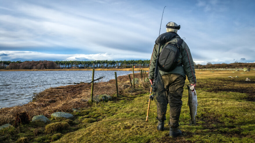 Šta se dešava sa srpskim ribarstvom poslednjih 20 godina?