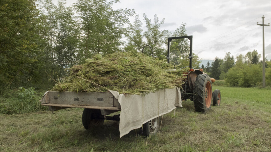 Zbog neslaganja s cijenom usluge, odbijao vratiti strojeve i dvije tone sjemena konoplje?