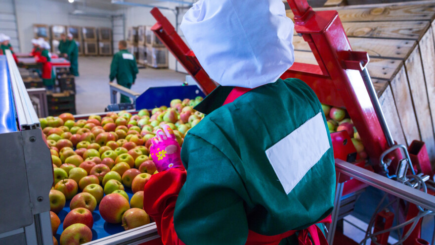 Ministar Kulenović: Sredstva EU projekta značajna za ozbiljne poljoprivrednike