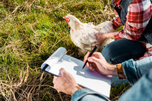 Za 2021. kroz Program ruralnog razvoja osigurano više od 2,4 milijarde kuna