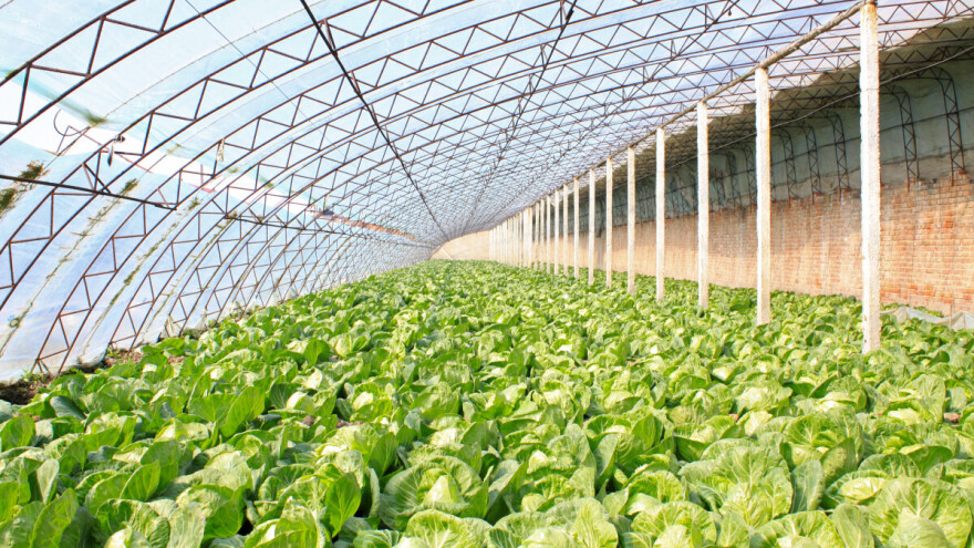 Poziv za IPARD program otvoren do kraja nedelje