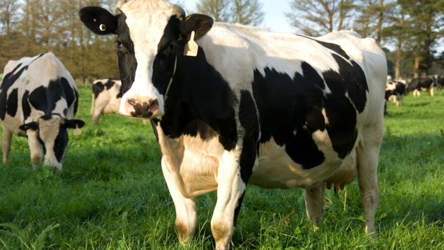 Donacije za povratnike - stoka, mehanizacija, pčele i oprema